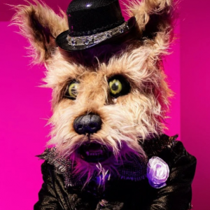 Zzzzz 1772509094bafd36c7 B6fd 4d56 A228 3ff7f43de4f5 — masked singer faces option 520