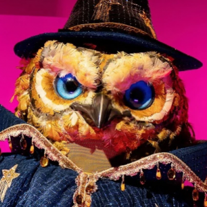 Zzzzz 1772509094bb172487 3666 4fa1 8f52 F19a2b2a7d08 — masked singer faces option 518