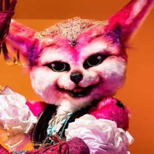 Zzzzz 177250909524f87201 Ad31 44ad B24a Ad04c80007d9 — masked singer faces option 527