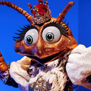 Zzzzz 17725090952ad2dec5 5af8 4aab 9f41 C0d01dc94344 — masked singer faces option 526