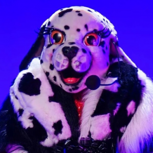 Zzzzz 177256798423489ef2 F247 4905 B9a8 D14215cda176 — masked singer faces option 533