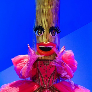 Zzzzz 17725679842dcbb898 2c6e 404c Af20 B7a212c0405e — masked singer faces option 534