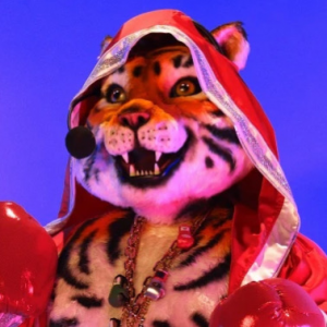Zzzzz 17725679853b4f670d C0a2 4e26 990d C8fe84fe3488 — masked singer faces option 536
