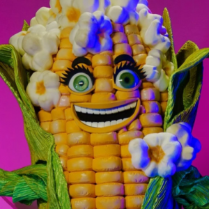 Zzzzz 17725679854349a49d 5e38 48be 9036 07abbf5910f9 — masked singer faces option 541