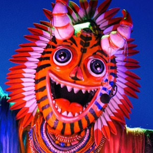 Zzzzz 17725679856cce4efe 8f3c 4063 9577 Fa82b7b1a55a — masked singer faces option 538