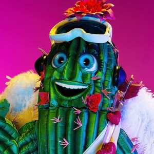 Zzzzz 1772567985b39d1b64 1eaf 4545 8bf5 587695d4113d — masked singer faces option 547