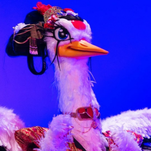 Zzzzz 1772567985c4be0b4e A600 47e8 811a Cdb0c04ab32c — masked singer faces option 535