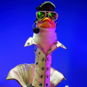 Zzzzz 1772567985e75736c0 E146 4ccb A808 5d57dddf5ce6 — masked singer faces option 540
