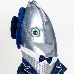 Zzzzz 17725749464ad75746 14bf 4455 Bb86 41ba9fbdd5d9 — masked singer faces option 554