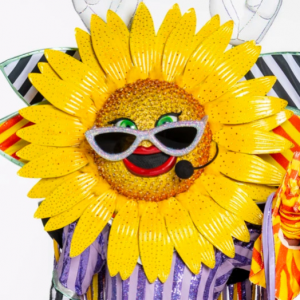 Zzzzz 17725749468988271c C8e3 4921 8160 87a21403df0d — masked singer faces option 555