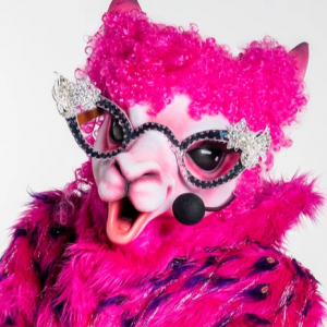 Zzzzz 1772574946acd87168 C639 4eaa A380 Fb60ab89d926 — masked singer faces option 551