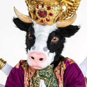Zzzzz 17725749479138a421 4a21 4978 B898 Ce78ff78cf7f — masked singer faces option 565