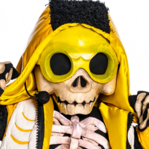 Zzzzz 1772574947a37b073a 96b2 4b3b A4e3 85b6f3d2cbd3 — masked singer faces option 561