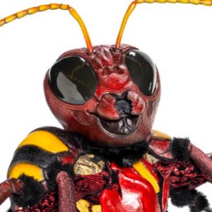 Zzzzz 1772574947f7ca835c 2b70 4de9 Ad41 039757d0d2ad — masked singer faces option 558