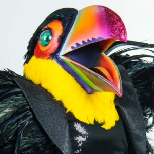 Zzzzz 177258312249bf65d0 A462 4aa0 8661 5217c3779ec8 — masked singer faces option 570