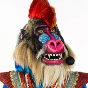 Zzzzz 1772583123b396209d 8daa 40a2 Ba26 1d60e840b0c2 — masked singer faces option 580