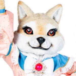 Zzzzz 17725844270917f77b 251e 4dfd A4eb 2bdf6caadc66 — masked singer faces option 591