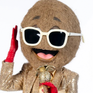 Zzzzz 17725844273b5a6273 B0df 4d99 81fa 19d6b7620f63 — masked singer faces option 588