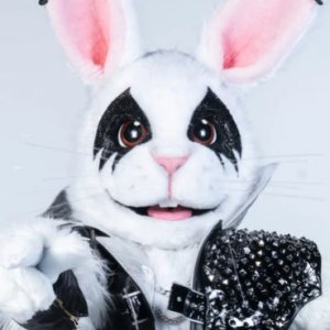 Zzzzz 1772584427a0d435a9 7b49 4ce2 8b13 Bbcc1c02f4e4 — masked singer faces option 590