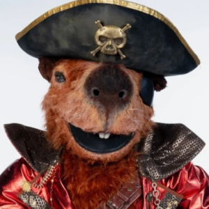 Zzzzz 1772584427bdc31361 C6e2 466c Ac91 3735d91c2903 — masked singer faces option 595