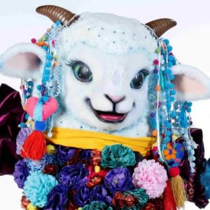 Zzzzz 1772584428374f2998 Ae5b 4c4a 878a 7bfe31d4fff6 — masked singer faces option 602