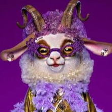 Zzzzz 17863348140b4c18ed Acbf 4d1b 9b4d 45cf77dc67c9 — masked singer faces option 616