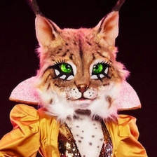 Zzzzz 17863351045d18e7c8 F949 471b 9530 E223edb77912 — masked singer faces option 629