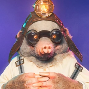 Zzzzz 178633542301d42488 37f2 411f 8172 65661428b3e9 — masked singer faces option 639