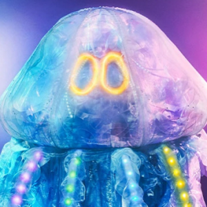 Zzzzz 178633542351c687e2 2d3d 4eb5 80a5 6aaef2e83f59 — masked singer faces option 638