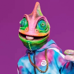 Zzzzz 1786335423a1e5eeac 1558 47aa Bb8a 7514ef0f5d6e — masked singer faces option 642