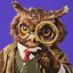Zzzzz 178633587328b724ba D195 4c0d Abc7 8bf362891e1a — masked singer faces option 663