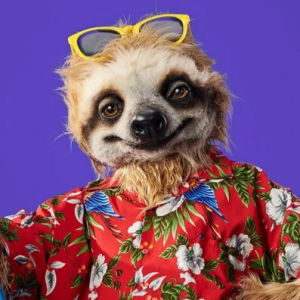 Zzzzz 178633587399a98555 1a38 403d 92c8 8f9e68c505b3 — masked singer faces option 660
