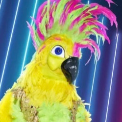 Zzzzz 17864146614ebda785 Cf52 430c 9b66 9d54fbfe04b0 — masked singer faces option 684