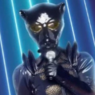 Zzzzz 1786414661a4637de8 F8ca 45d0 Be35 501befe42d9f — masked singer faces option 681