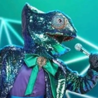Zzzzz 1786414662291e32c9 6eff 4b4d Ac8c Ca509ec67a8a — masked singer faces option 696