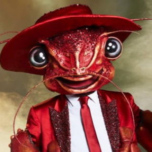 Zzzzz 1786414662694b14c3 60c1 4daf B7ec 496b7845ba40 — masked singer faces option 702