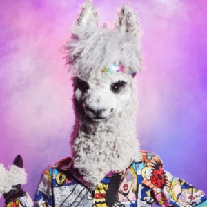 Zzzzz 1786414662dbf0b88a 54ac 451b 9b18 271a2f850545 — masked singer faces option 699