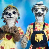 Zzzzz 1786414662e9d3f9ac 7f2a 4a32 A848 92621a7f67da — masked singer faces option 698