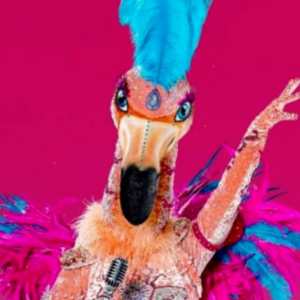 Zzzzz 17864243140a86d3ab 34aa 4870 8d27 Bce06aa465b1 — masked singer faces option 711