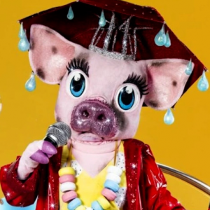 Zzzzz 17864243141fd51981 C802 441f A269 1d9d7e0a138d — masked singer faces option 716
