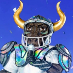 Zzzzz 178642431453fcf7f1 84a5 47a3 B56a E607a02b5122 — masked singer faces option 713