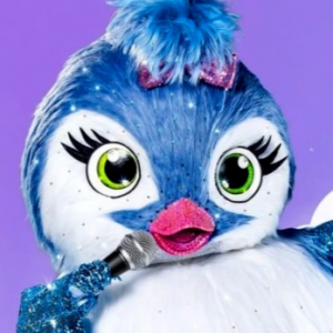 Zzzzz 178642431464921748 Edd9 434a Adf7 5fa326b0e467 — masked singer faces option 710