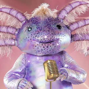 Zzzzz 17864243151158a0c9 F3dd 4b4c 8c75 13a973db7ddd — masked singer faces option 719