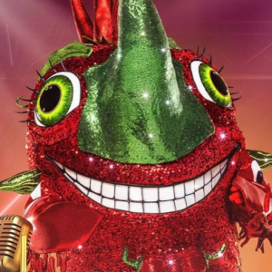 Zzzzz 17864243152c7456e5 6fec 4ef7 9e38 Bcc2c4b39e49 — masked singer faces option 721