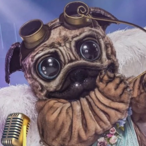 Zzzzz 178642431547bf8da6 Cbcf 4719 A8e4 6f096c8bb857 — masked singer faces option 720