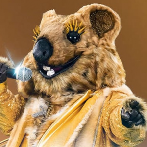 Zzzzz 1786424315ab193d37 D70c 4a9a 91b6 B42579304fe7 — masked singer faces option 715