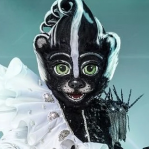 Zzzzz 1786424315c72ffb6e Cd79 481b 97b6 E8f6865af1ca — masked singer faces option 726