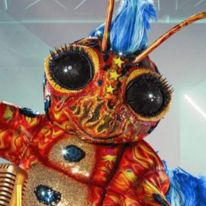 Zzzzz 1786424315e7a06bf9 D920 43f8 88fe Cee60eb3fe3e — masked singer faces option 723