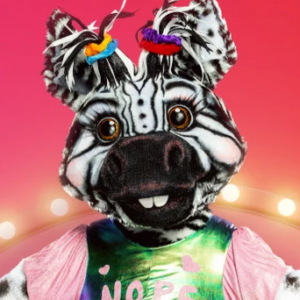 Zzzzz 178642431614f2abe0 3466 4274 Bf12 F02a83d56744 — masked singer faces option 729