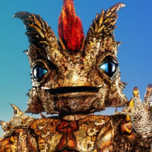 Zzzzz 17864243162fb67f47 1ba0 4cec 91bc 0daf4ae64eff — masked singer faces option 735